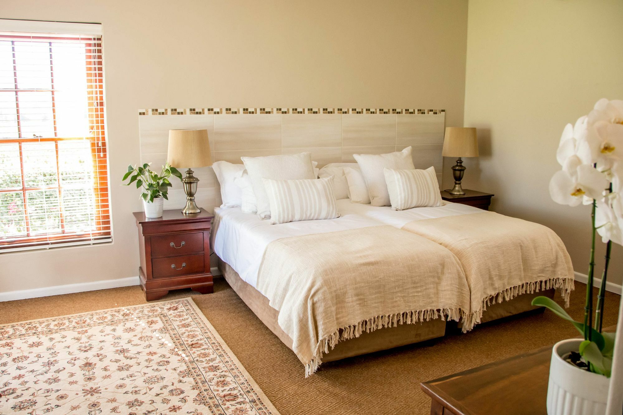Goedemoed Farm Guest House Paarl Extérieur photo